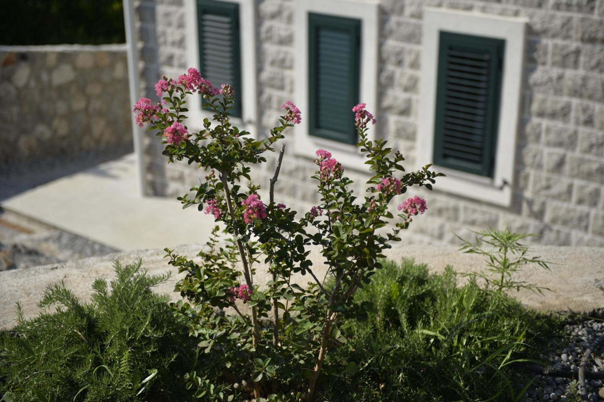 Villa Vista Azzurra تيفات المظهر الخارجي الصورة